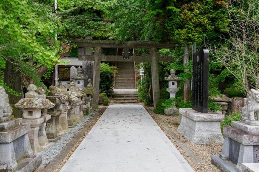 国分一宮諏訪神社⑷ 国分一宮諏訪神社⑷ 神社,国分一宮諏訪神社,神社仏閣の写真素材