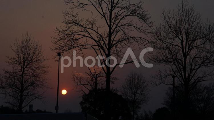 日没直前 夕暮れ,シルエットで映す,風景の写真素材