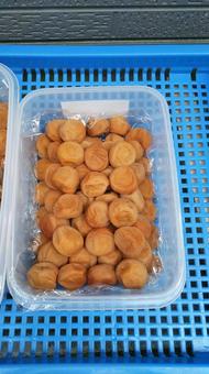 自家製梅干し完成 梅干し,梅,南高梅の写真素材