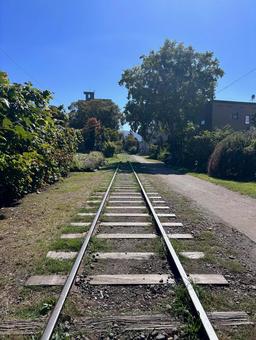 線路 小樽,線路,北海道の写真素材