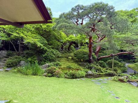 日本庭園の入り口 日本庭園の入り口の写真