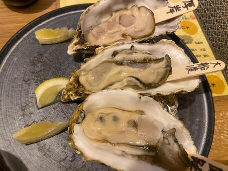 生牡蠣 牡蛎,カキ,生牡蠣の写真素材