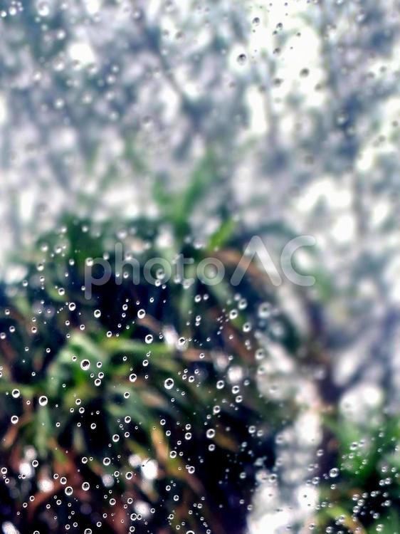 雨の日　窓越しの景色 雨,窓,雫の写真素材