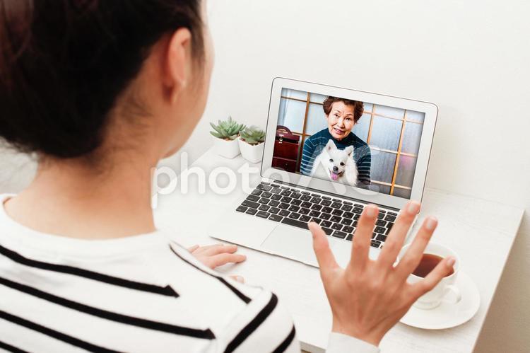 オンライン帰省 オンライン帰省,人物,ビデオチャットの写真素材