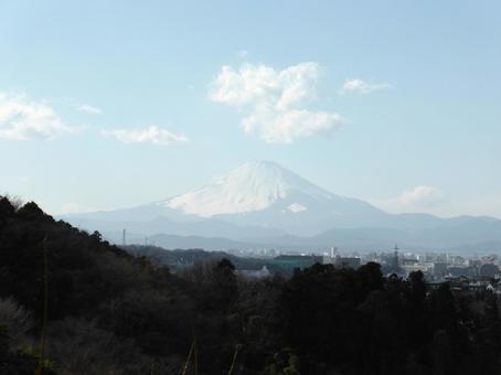 2月、源氏山より望む雪を頂いた富士山 2月、源氏山より望む雪を頂いた富士山 富士山,山,遠景の写真素材
