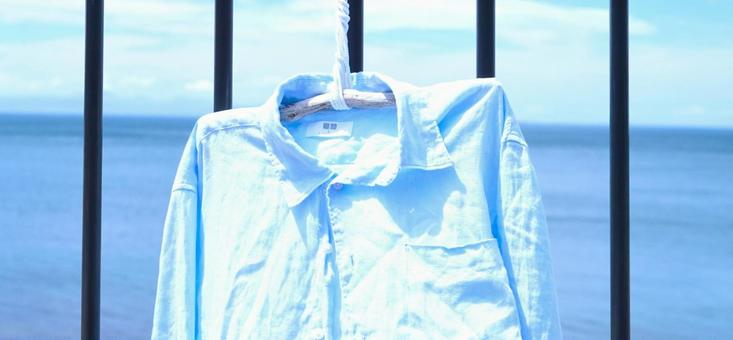 Photo, shirt, light blue, driftwood hanger, 