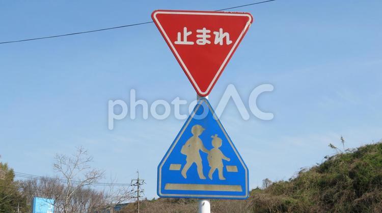 道路標識　一時停止　横断歩道 道路標識,標識,交差点の写真素材
