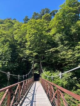 三頭山 吊橋の写真