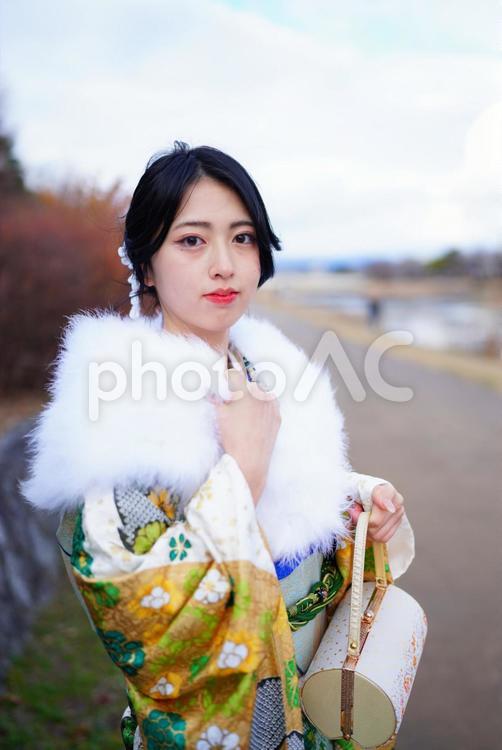 成人式振袖の女性 女性,生徒,少女の写真素材