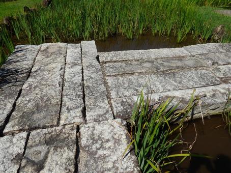 湿地の石橋 湿地の石橋 自然,岩畳,湿地の写真素材