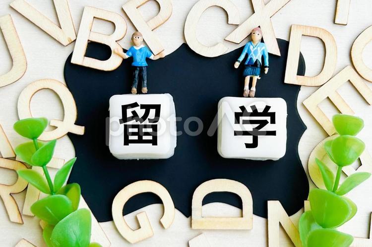 語学留学 英語,留学,海外留学の写真素材