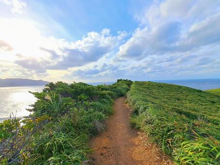 宮古崎 宮古崎,小道,自然の写真素材