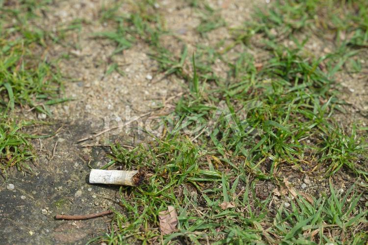 ポイ捨てタバコ ポイ捨て,タバコ,煙草の写真素材