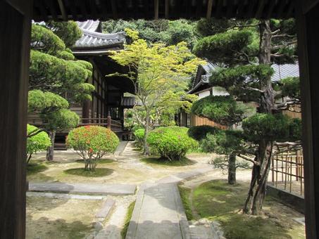 【風景写真】観音寺(広島県三原市)の風景 【風景写真】観音寺(広島県三原市)の風景 観音寺,時宗,寺社仏閣の写真素材