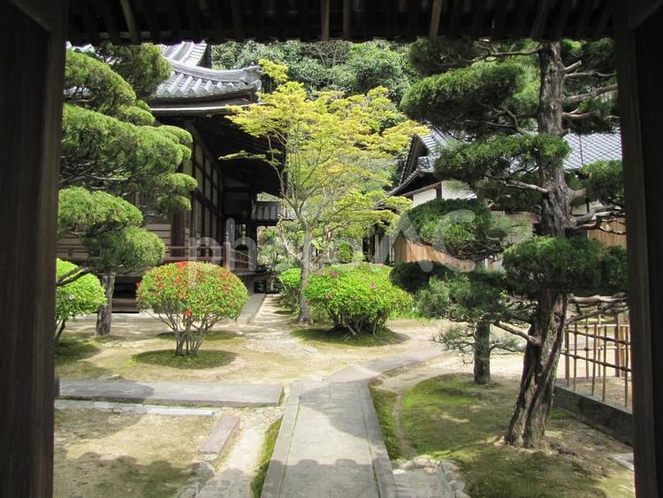 【風景写真】観音寺(広島県三原市)の風景 観音寺,時宗,寺社仏閣の写真素材