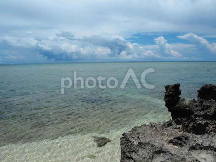 波照間島の名所「浜シタン群落」のビーチ。 浜シタン群落,波照間島,波照間の写真素材