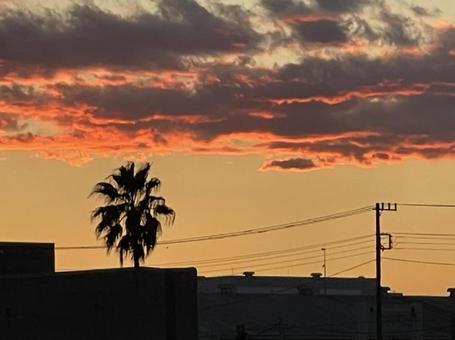 sunset, JPG