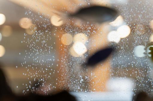 水槽の泡と光の幻想的な模様③ 泡,光,水の写真素材