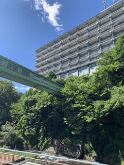 橋 橋の写真
