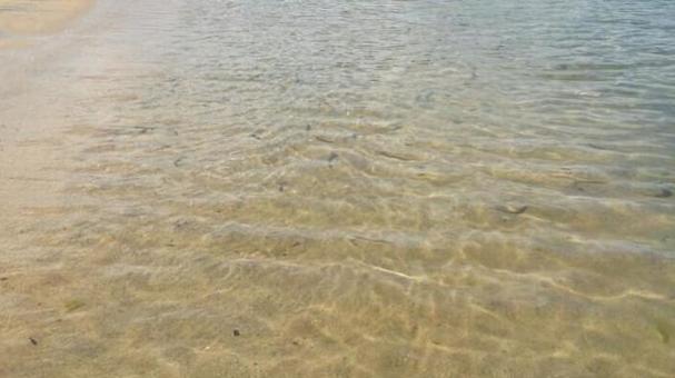 海 海の写真