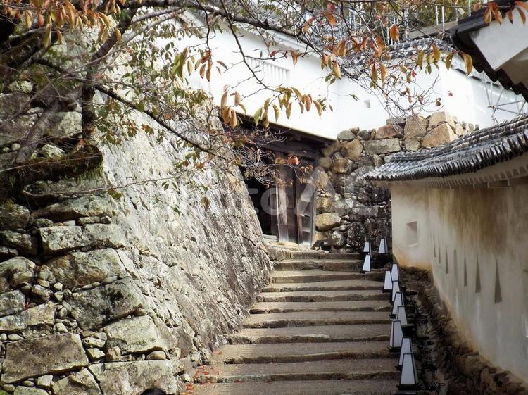 【風景写真】姫路城の風景 姫路城,世界遺産,国宝の写真素材