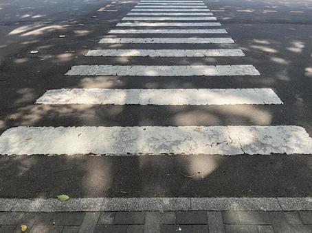 横断歩道(木漏れ日) 横断歩道(木漏れ日)の写真