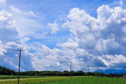 青空と雲 青空と雲 青空,雲,白い雲の写真素材
