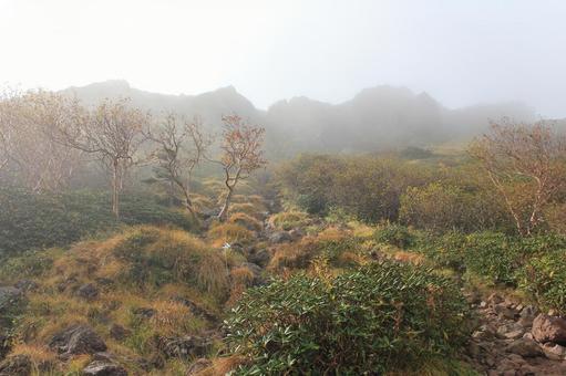 秋の気配がする雨上がりの早朝の山 秋の気配がする雨上がりの早朝の山 秋,山,登山の写真素材
