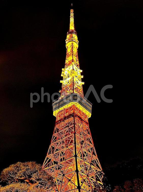ライトアップされた夜の東京タワー 東京タワー,タワー,ライトアップの写真素材