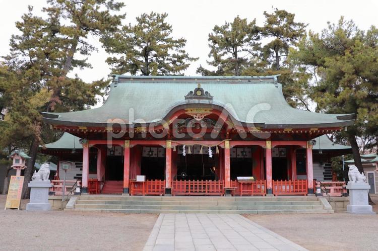 長田神社　拝殿 長田神社,ながたじんじゃ,拝殿の写真素材