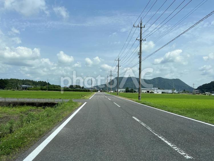 【福井】運転中の風景 風景,ドライブ,自然の写真素材