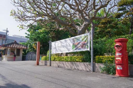 Photo, himeyuri memorial tower, library, okinawa, 
