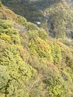 日光いろは坂下りのヘアピンカーブの写真