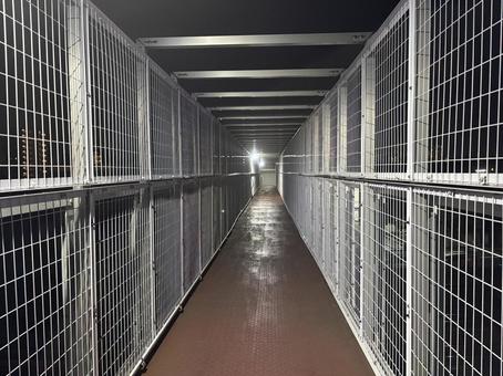 夜の陸橋 陸橋,跨線橋,フェンスの写真素材