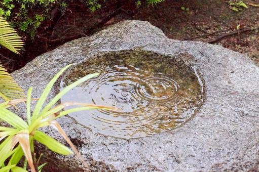 雨の手水鉢 手水鉢,手洗い,水瓶の写真素材