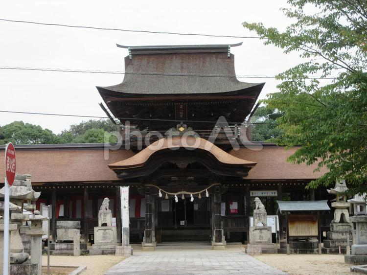正八幡宮「楼拝殿」 正八幡宮,大内文化,平安時代の写真素材