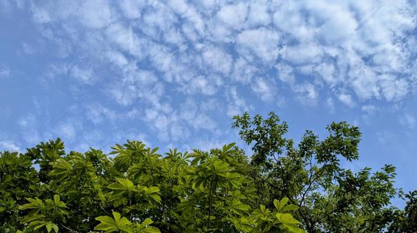 空 空の写真
