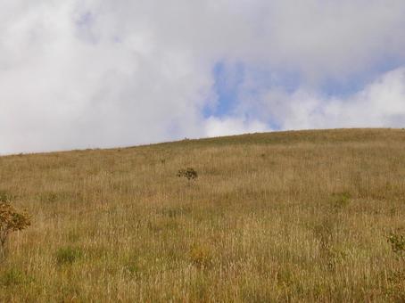 長野 松本 美ヶ原 長野 松本 美ヶ原の写真