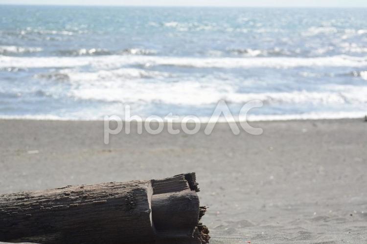 流木と海 流木,砂浜,海の写真素材