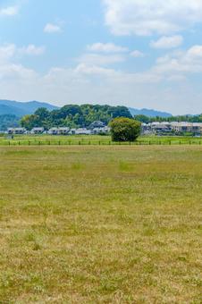 夏の青空と広がる草原風景 夏の青空と広がる草原風景 草原,青空,夏の写真素材
