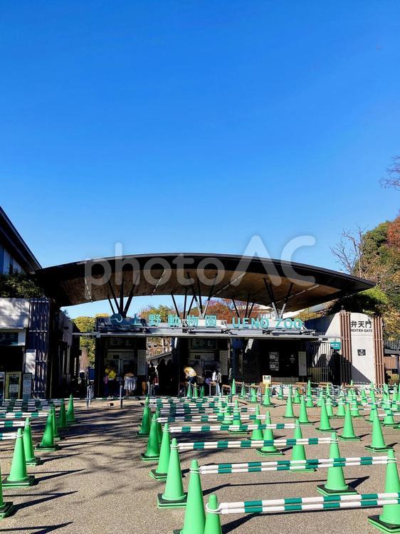 東京風景・上野公園 上野動物園,上野,動物園の写真素材