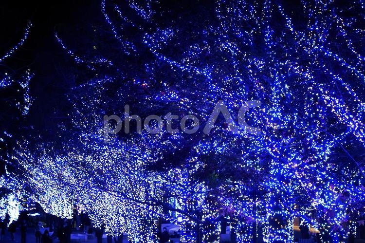 美しいクリスマスイルミネーションの街並み クリスマス,イルミネーション,キラキラの写真素材