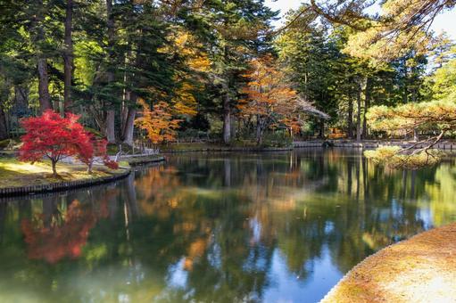 秋の有備館7 秋,紅葉,モミジの写真素材