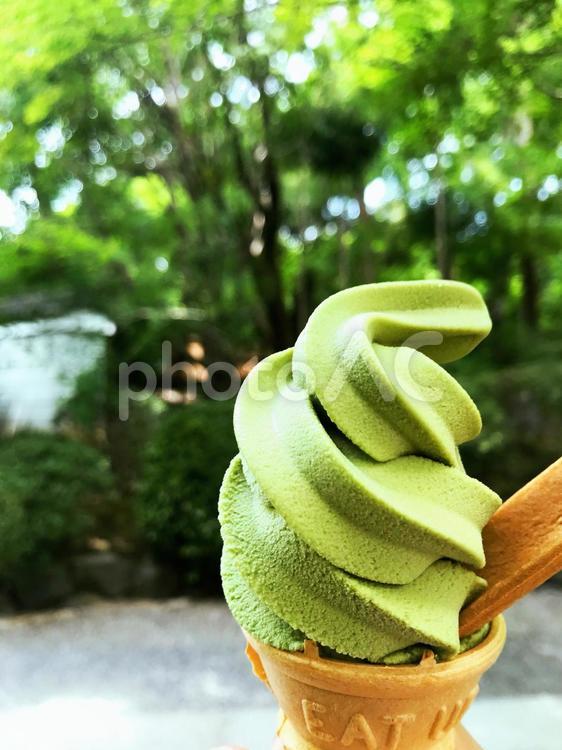 抹茶アイスイメージ 抹茶,アイス,イメージの写真素材