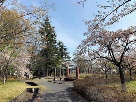 公園 公園の写真