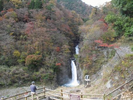 秋の滝 秋の滝の写真