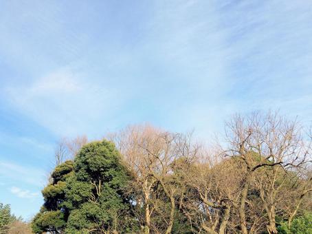 冬空 冬空の写真