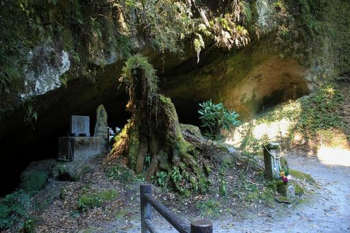 溝の口洞穴　入口 溝の口洞穴,洞穴,洞窟の写真素材