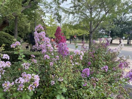 Photo, nagai পার্ক, বদল দিন, পার্ক, 