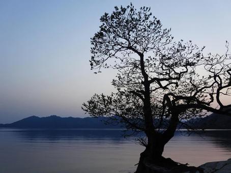 田沢湖の夕景 田沢湖の夕景 田沢湖,夕景,夕暮れの写真素材